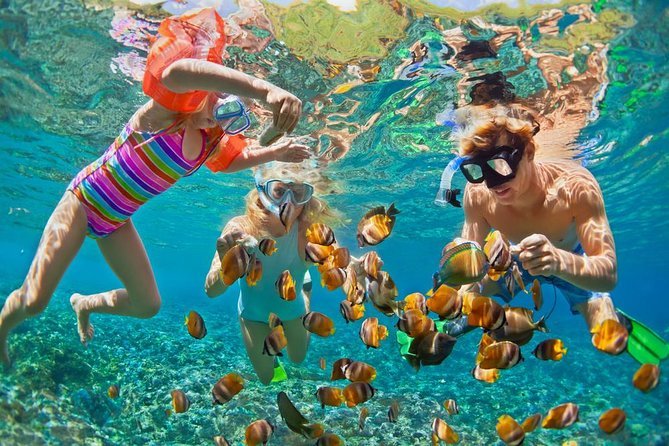Snorkeling Adventure